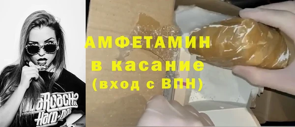 шишки Саяногорск