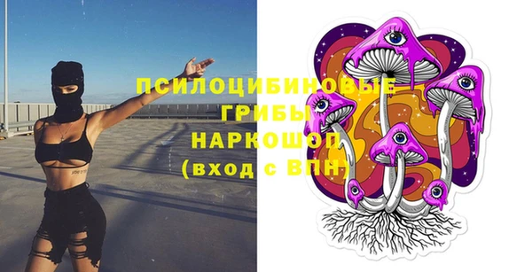 гашик Михайловск
