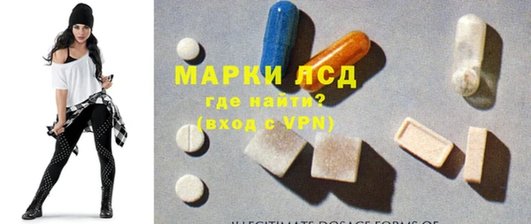 гашик Михайловск