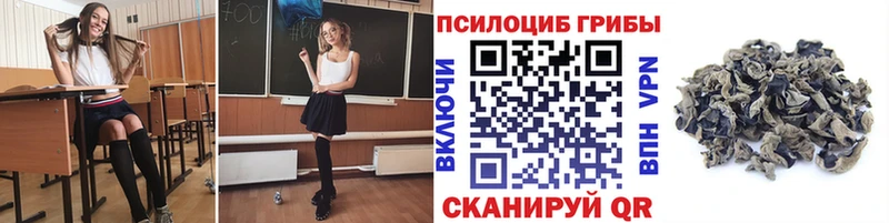 Галлюциногенные грибы мухоморы  купить наркотики сайты  Зея 
